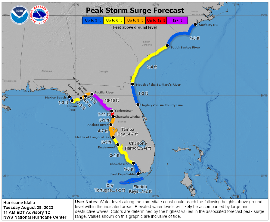 Peak storm surge forecast