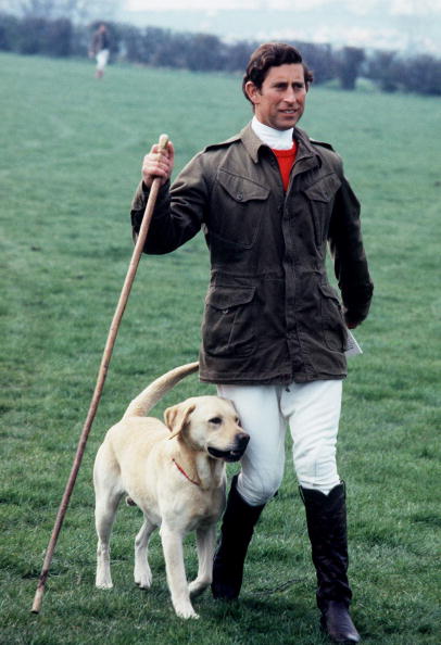 1978