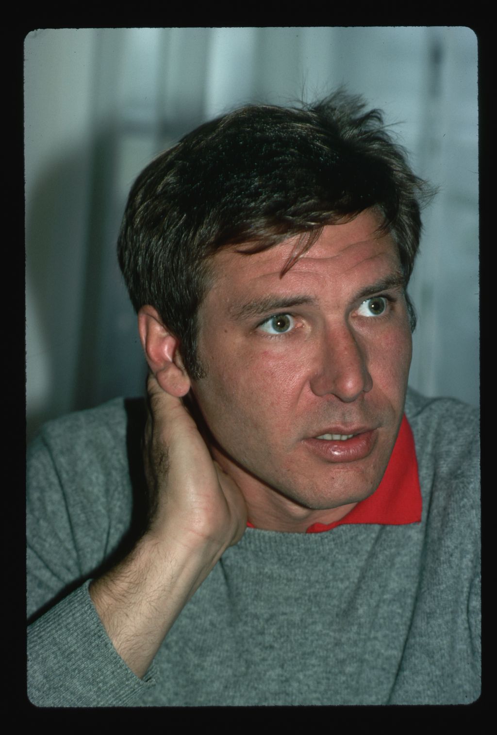 Portrait of Harrison Ford