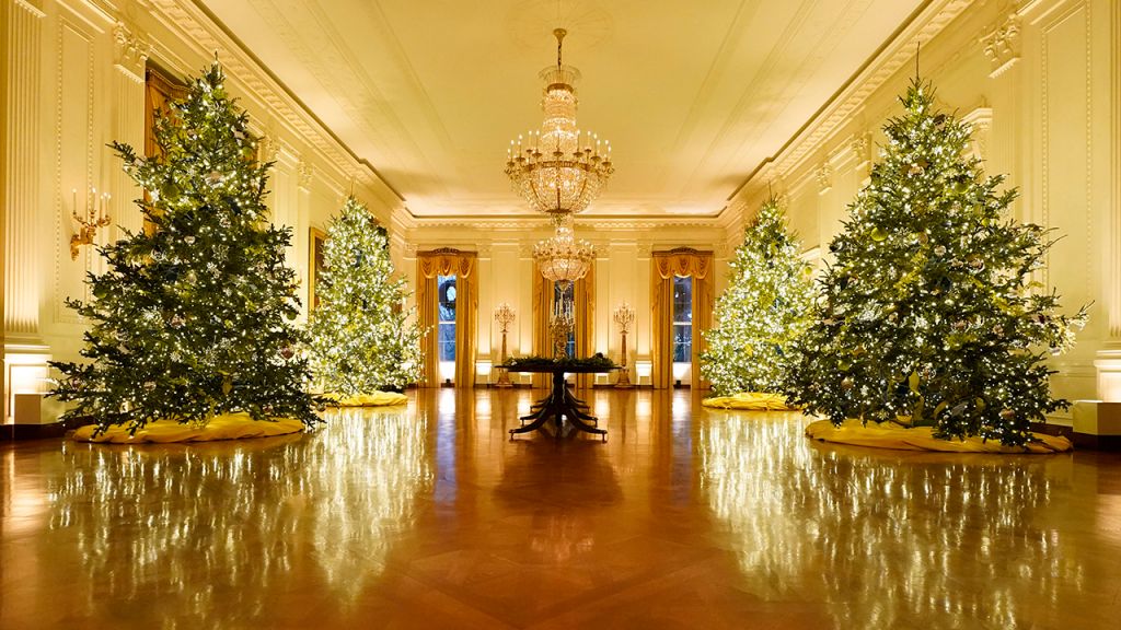 2020 White House Christmas decorations unveiled