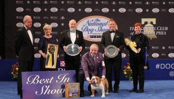The 2019 National Dog Show