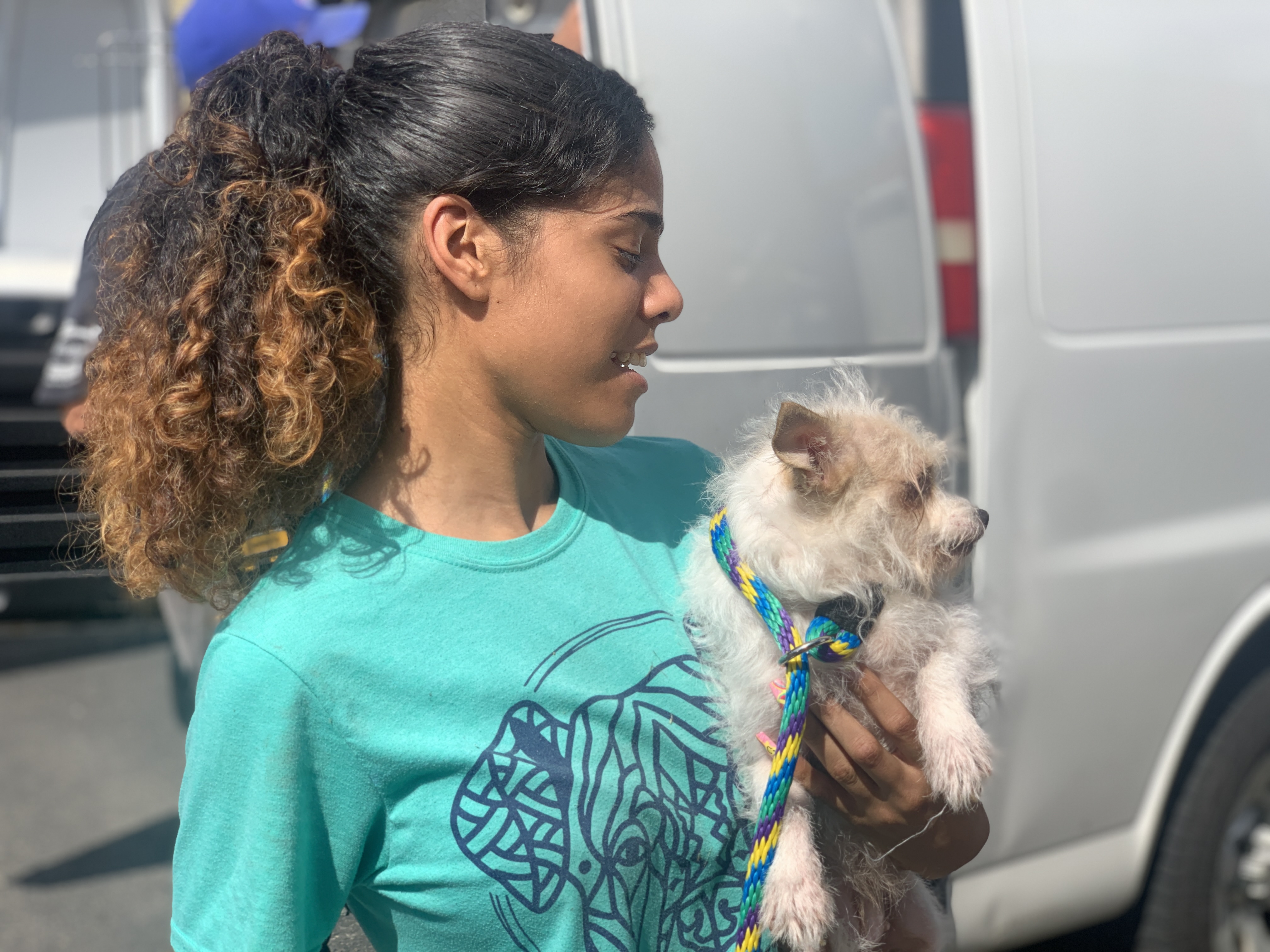 Photos: Rescuers save 100 animals ‘living in filth’ from Pennsylvania property