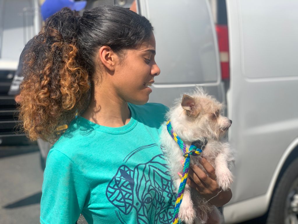 Photos: Rescuers save 100 animals ‘living in filth’ from Pennsylvania property