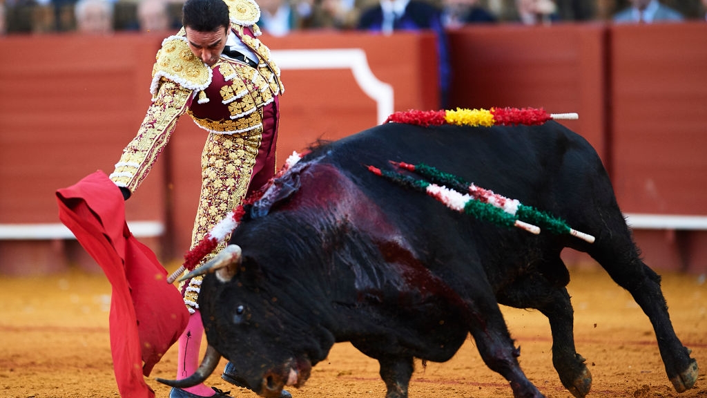 Enrique Ponce gored during bullfight