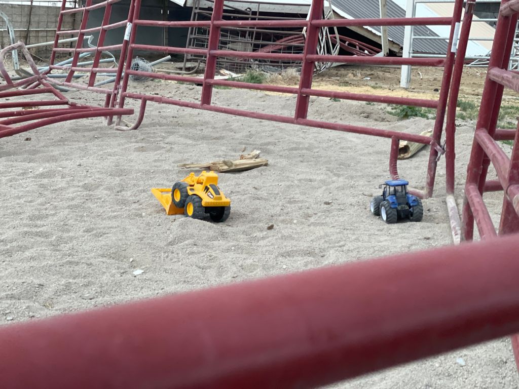 Two Utah boys are dead after a man crashed into their play area