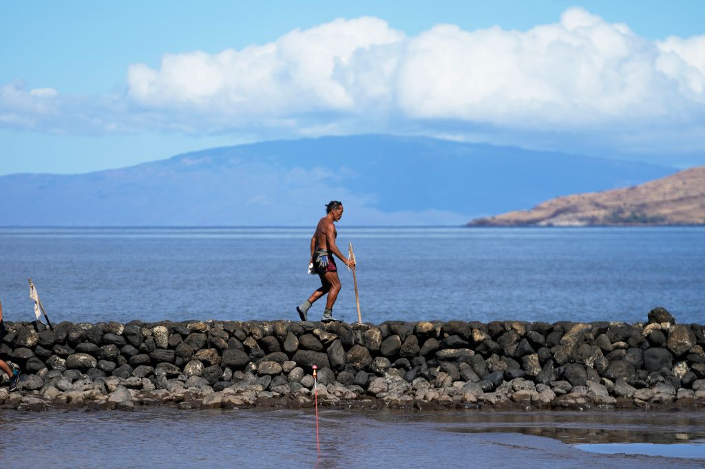 Hawaii Fires