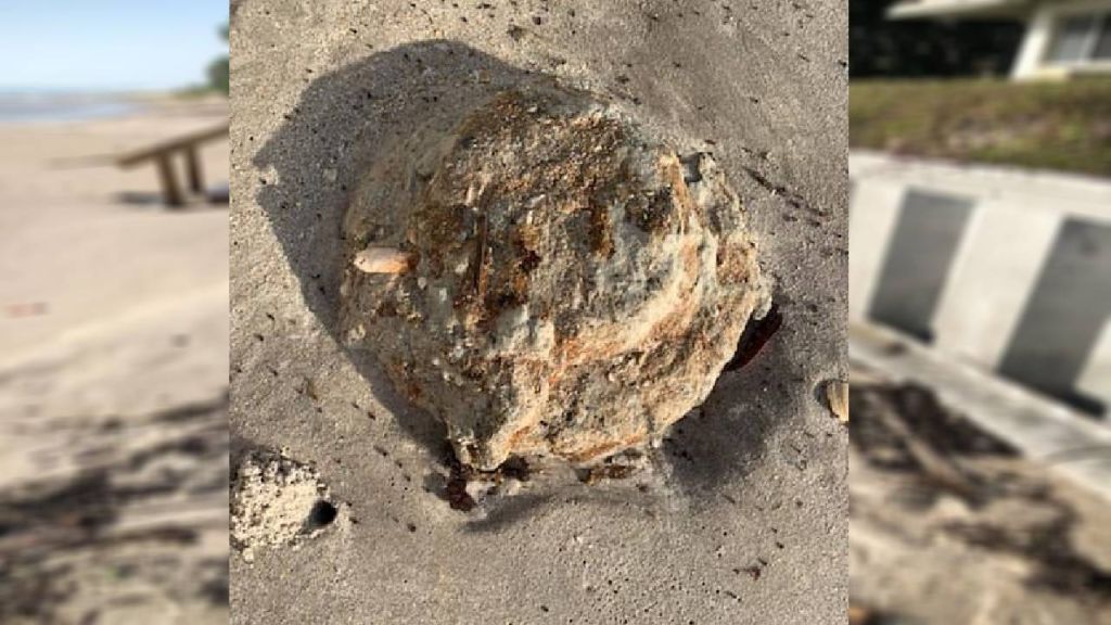 Land mines found on Florida beach