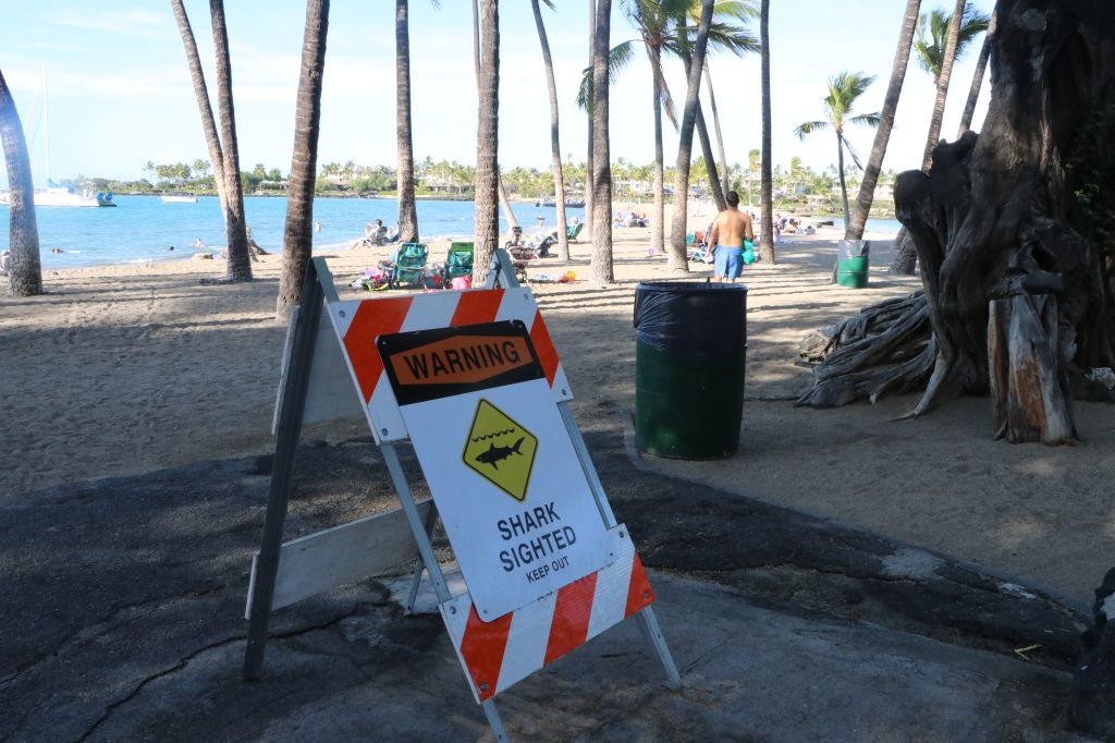 Signs warn swimmers after shark attack