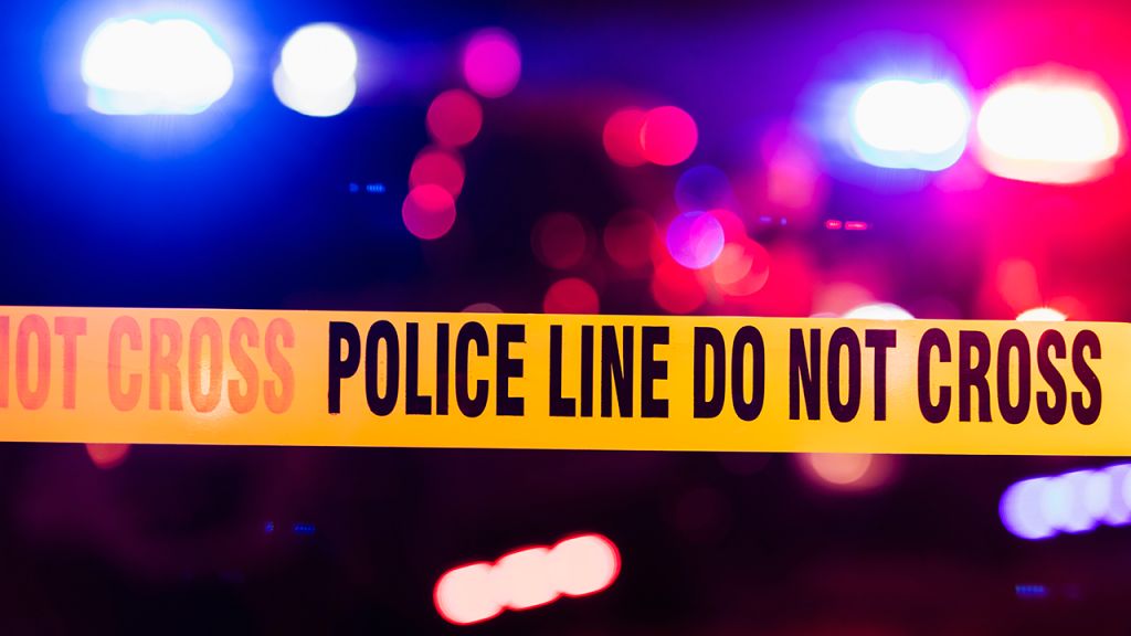 Six Flags Great America shooting: 3 wounded in parking lot, police say