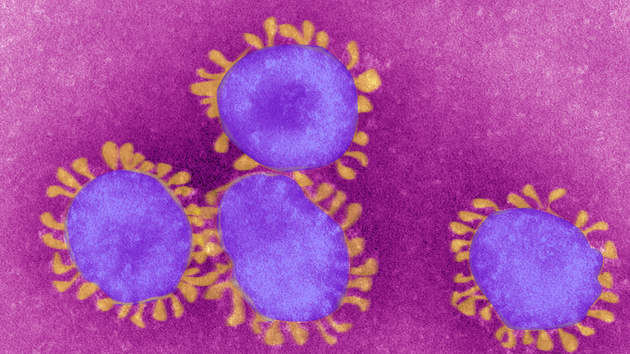 Coronavirus