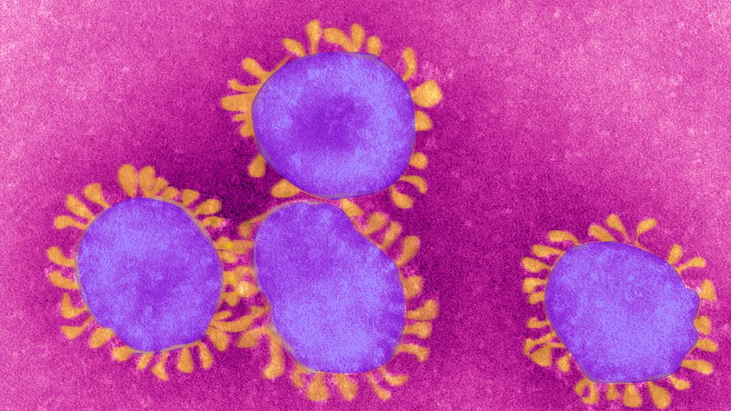 Coronavirus