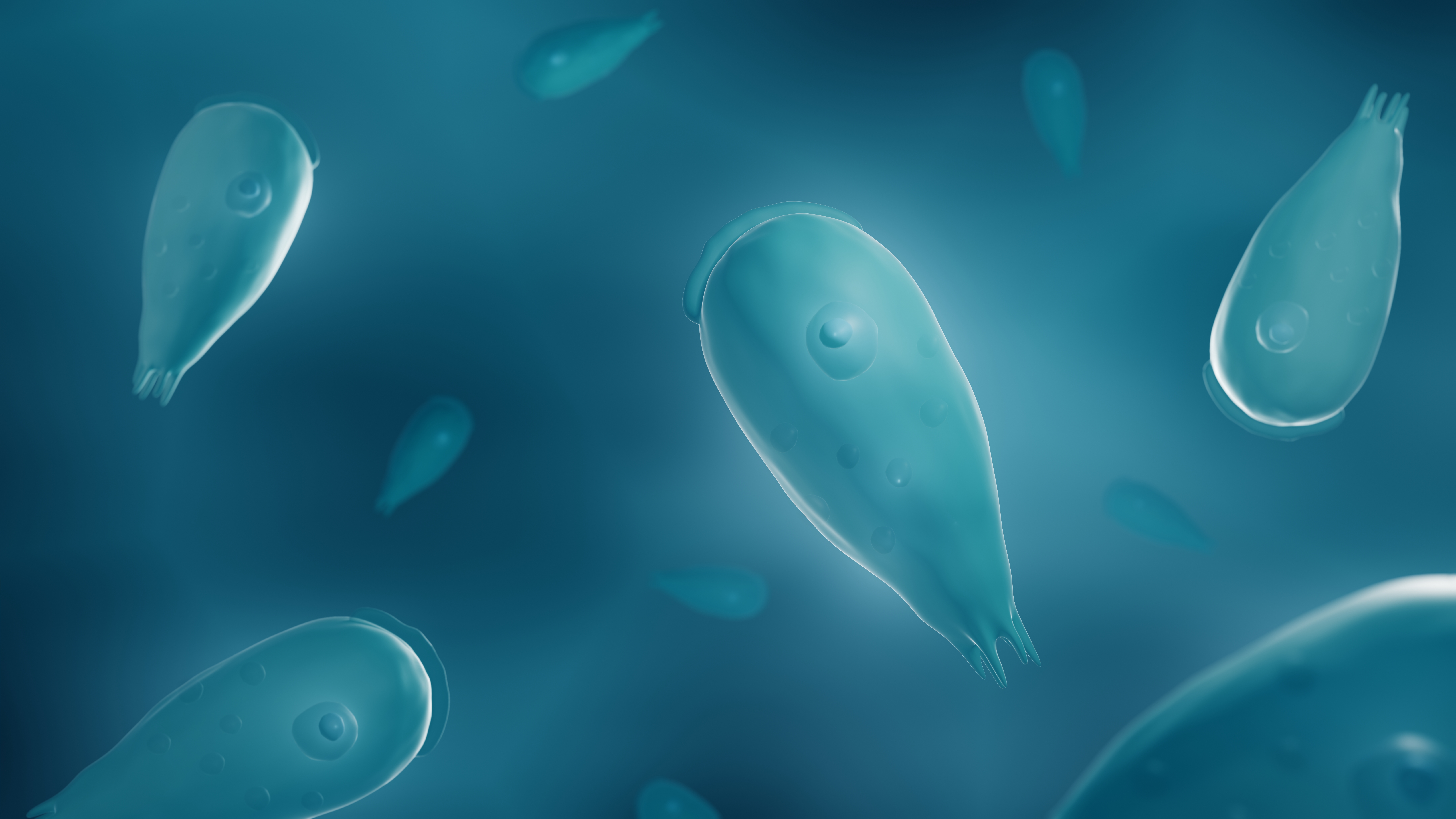 Patient killed by brain-eating amoeba
