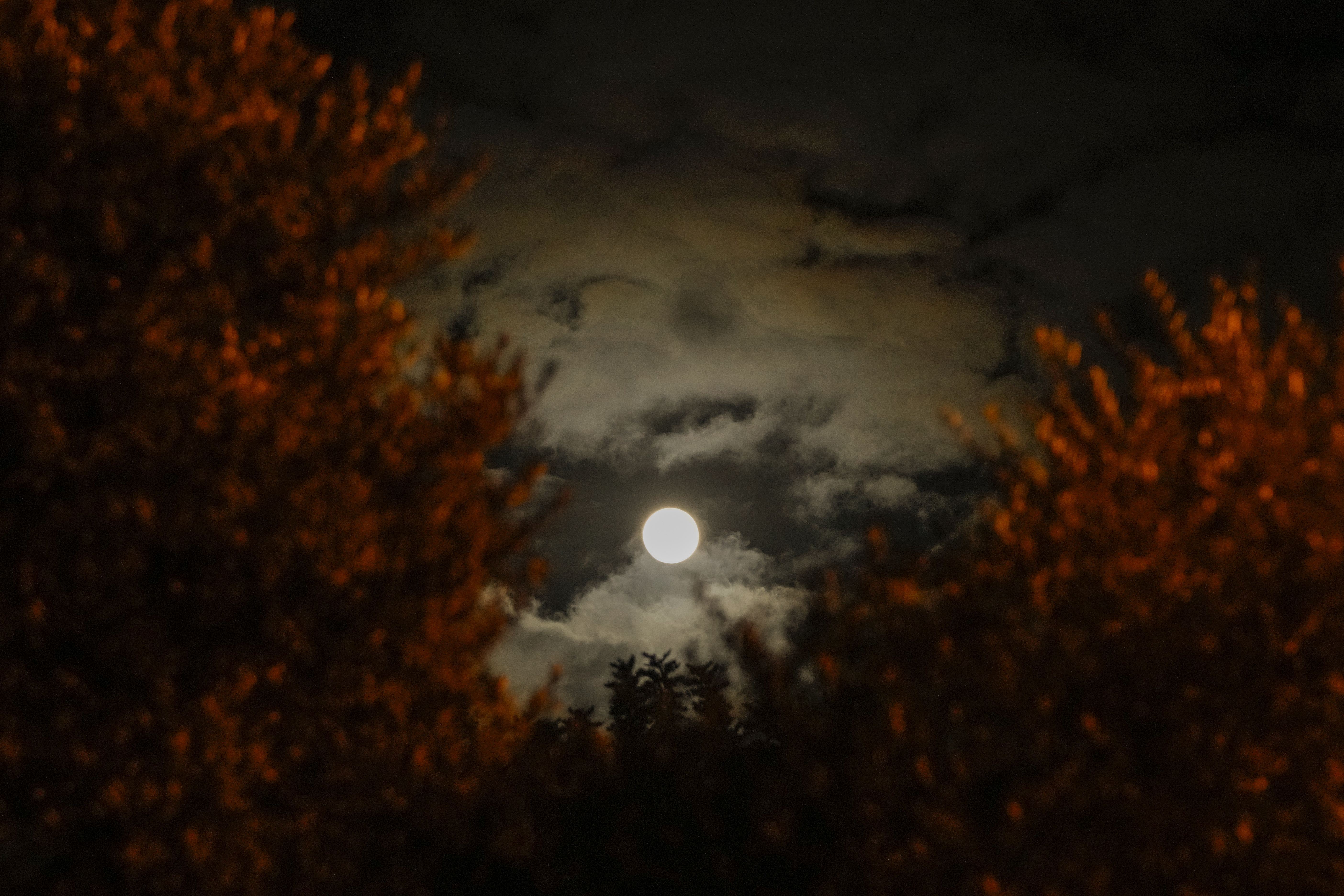 Photos: Cold Moon 2021 brightens the night sky