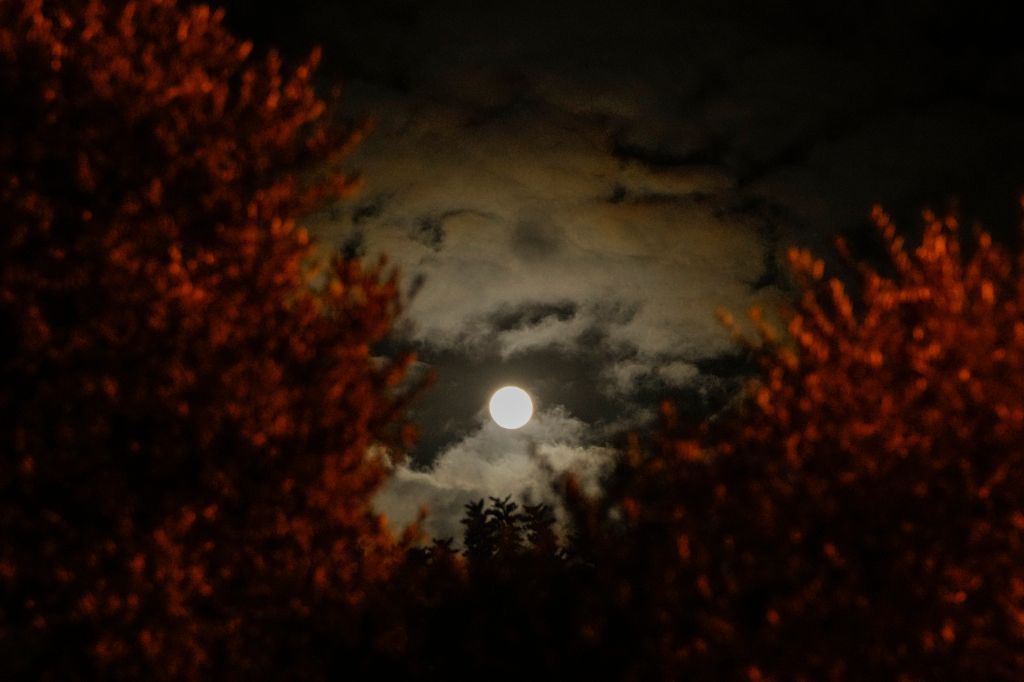 Photos: Cold Moon 2021 brightens the night sky