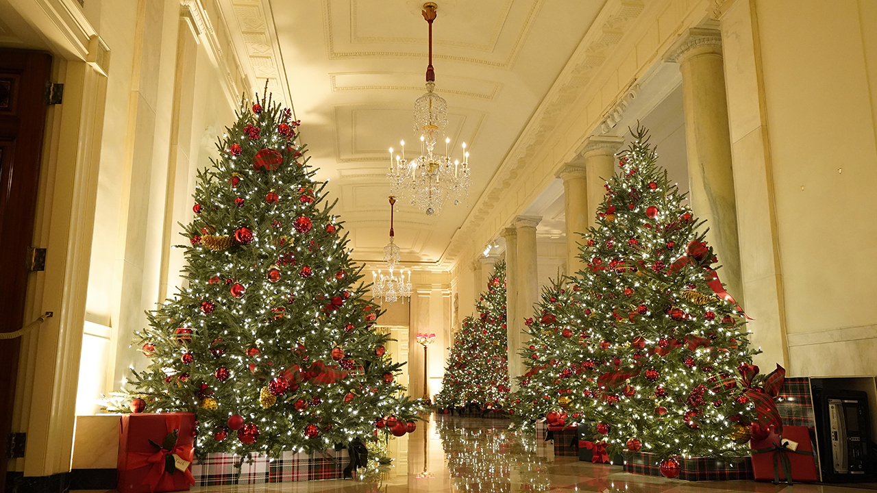 2020 White House Christmas decorations unveiled
