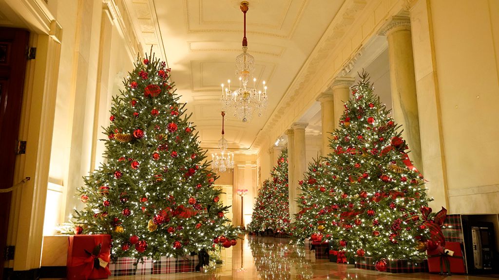 2020 White House Christmas decorations unveiled