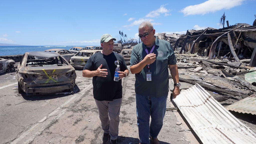 Hawaii Fires