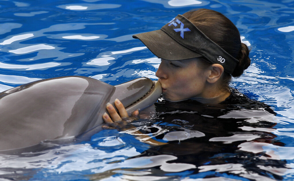 Winter the dolphin