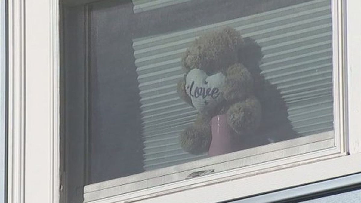 Coronavirus: ‘Bear hunts’ organized by Boston, other cities to keep kids entertained while out of school