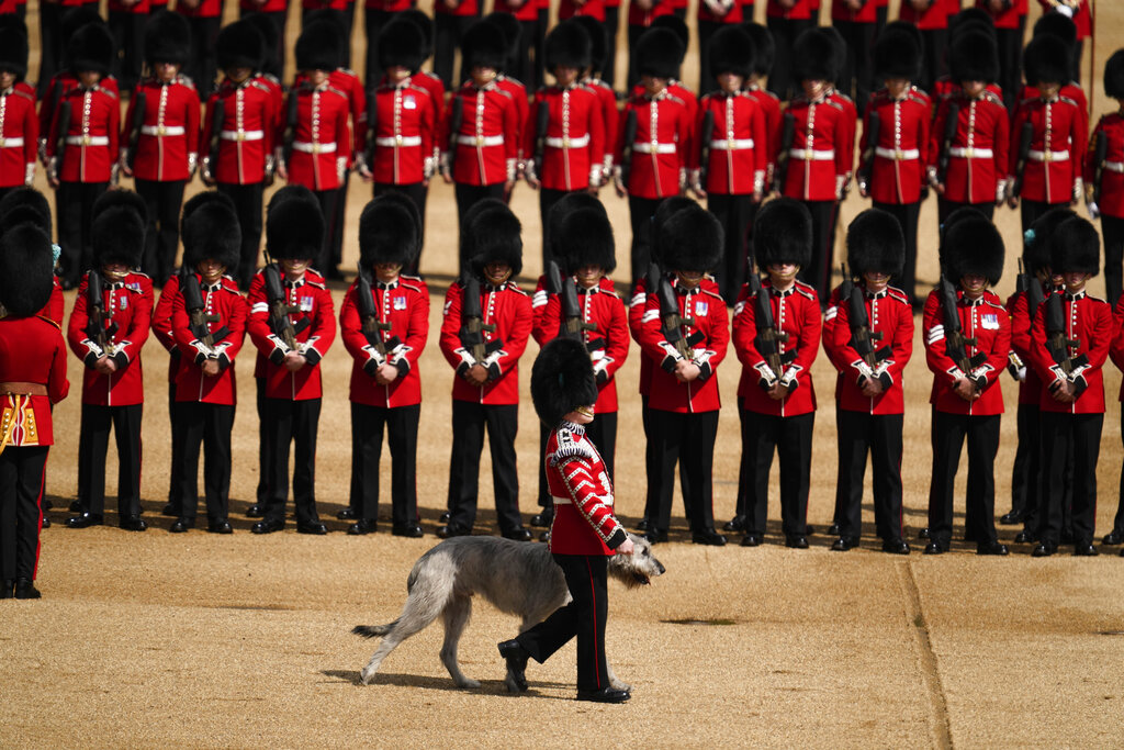 Photos: Queen Elizabeth's Platinum Jubilee kicks off with Trooping the Colo