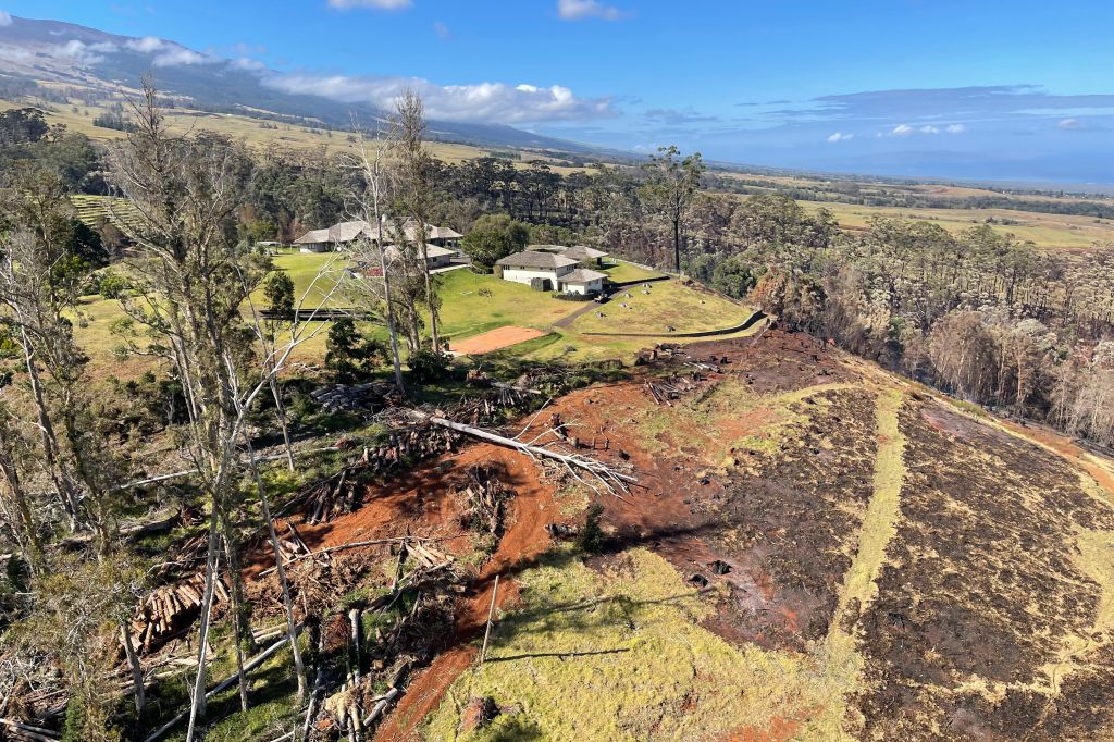 Hawaii Fires