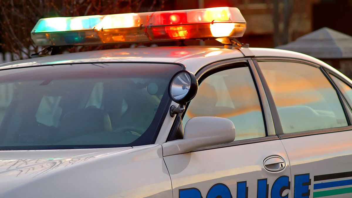 Detroit police officers who drove through crowd of protesters feared ambush, chief says