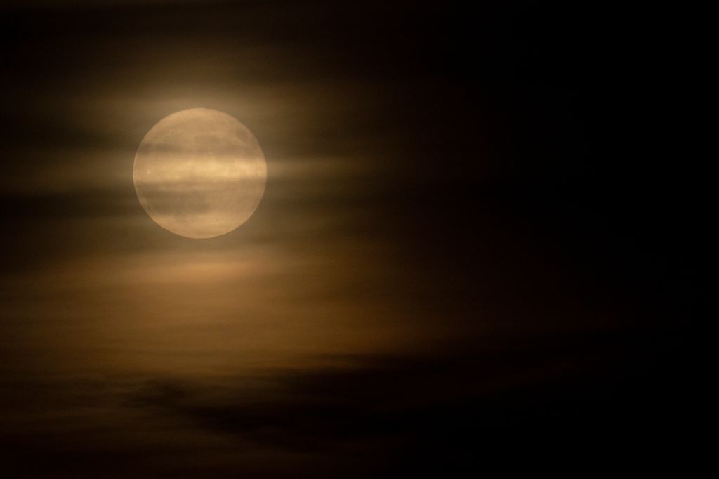 Photos: Halloween Blue Moon brightens the night sky