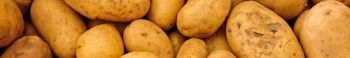 Farmers to give away 200,000 pounds of potatoes in Washington