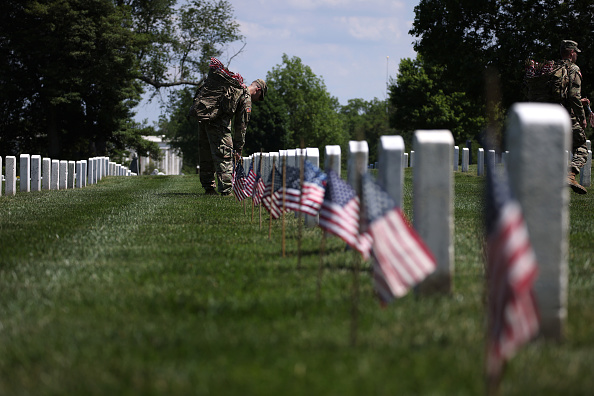 Arlington Cemetery flags