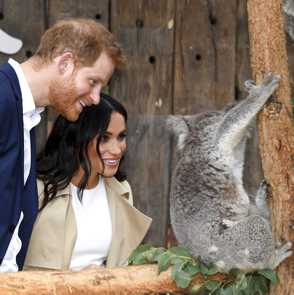 Photos: Prince Harry, Meghan celebrate second anniversary