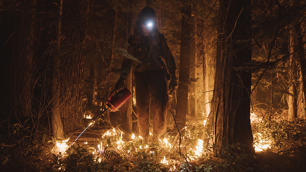 Photos: California's Mosquito Fire becomes state's largest blaze of 2022