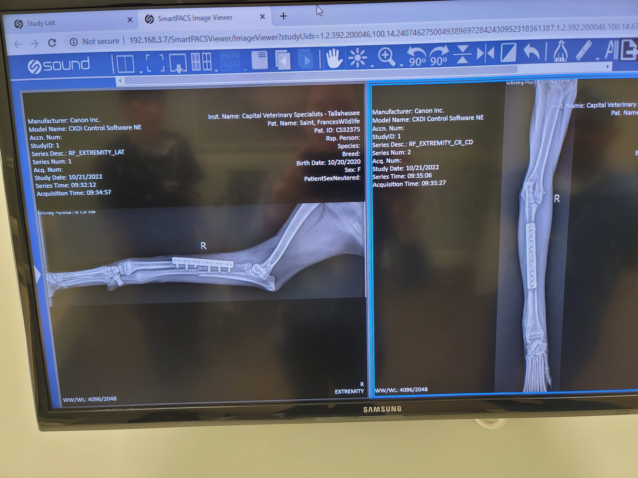 Coyote rescued from inside of car grille