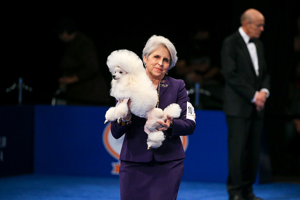 Photos: National Dog Show 2021