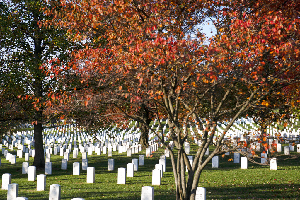 Veterans Day 2021