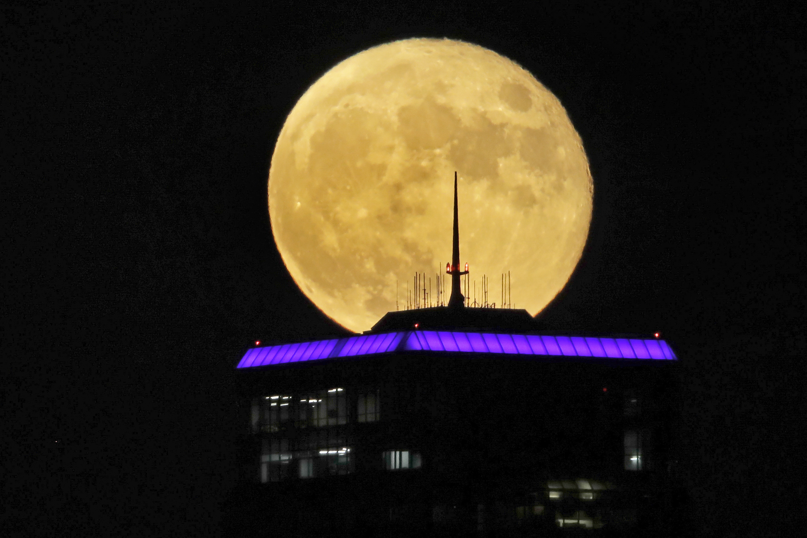 july 4th 1984 for buck