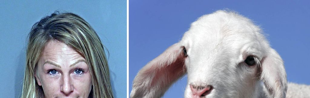 Alabama woman steals goat paints it blue