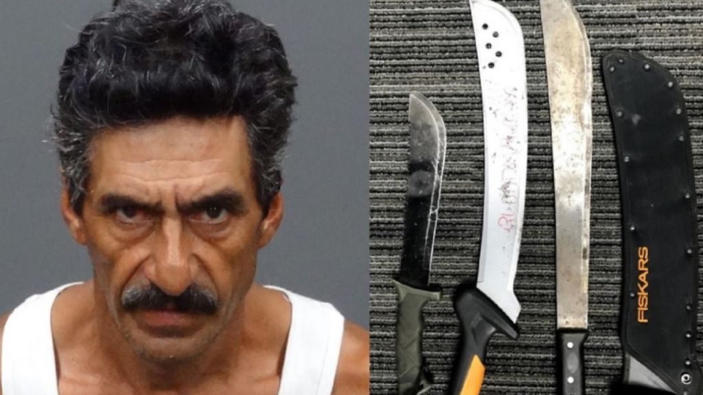 California man accused in machete attacks