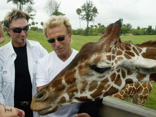 Siegfried & Roy through the years